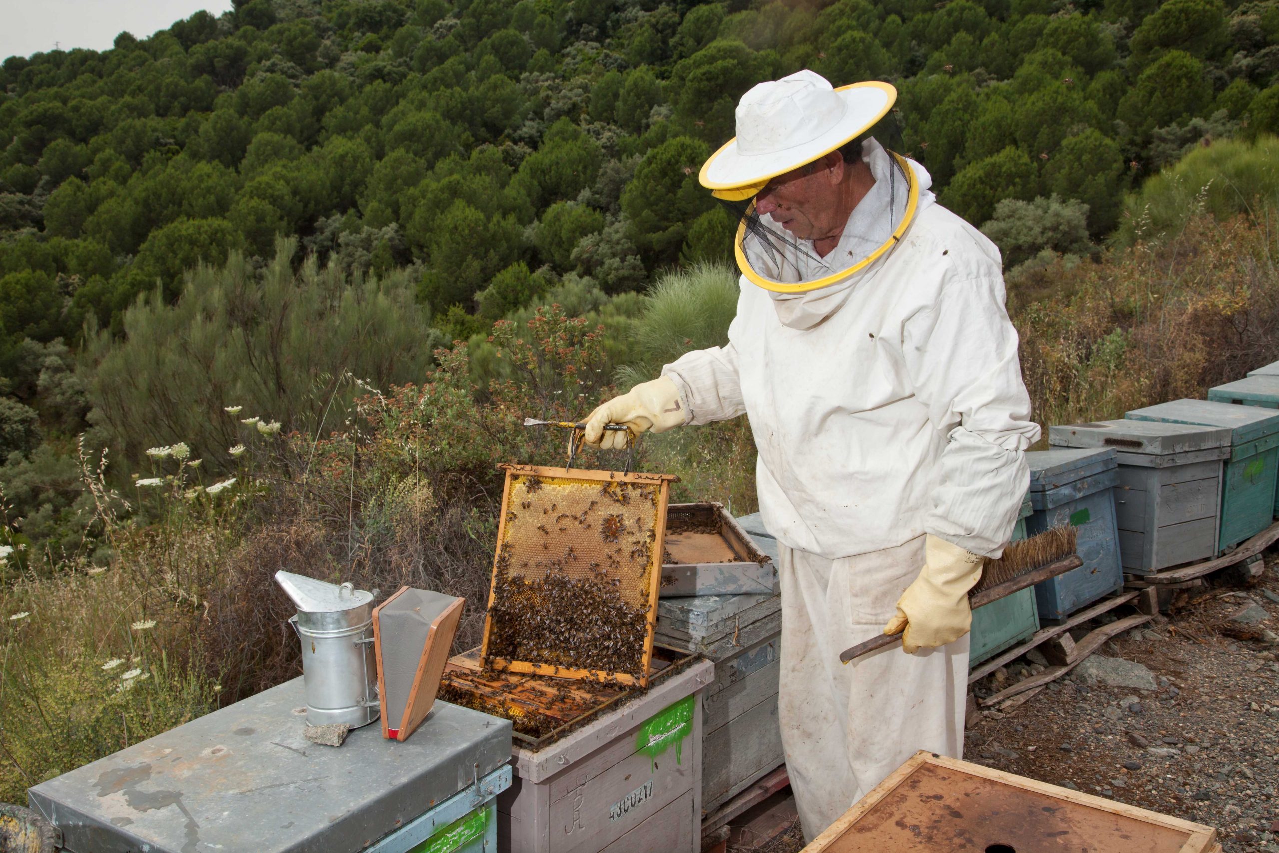 Aprendiendo a convivir en la diversidad