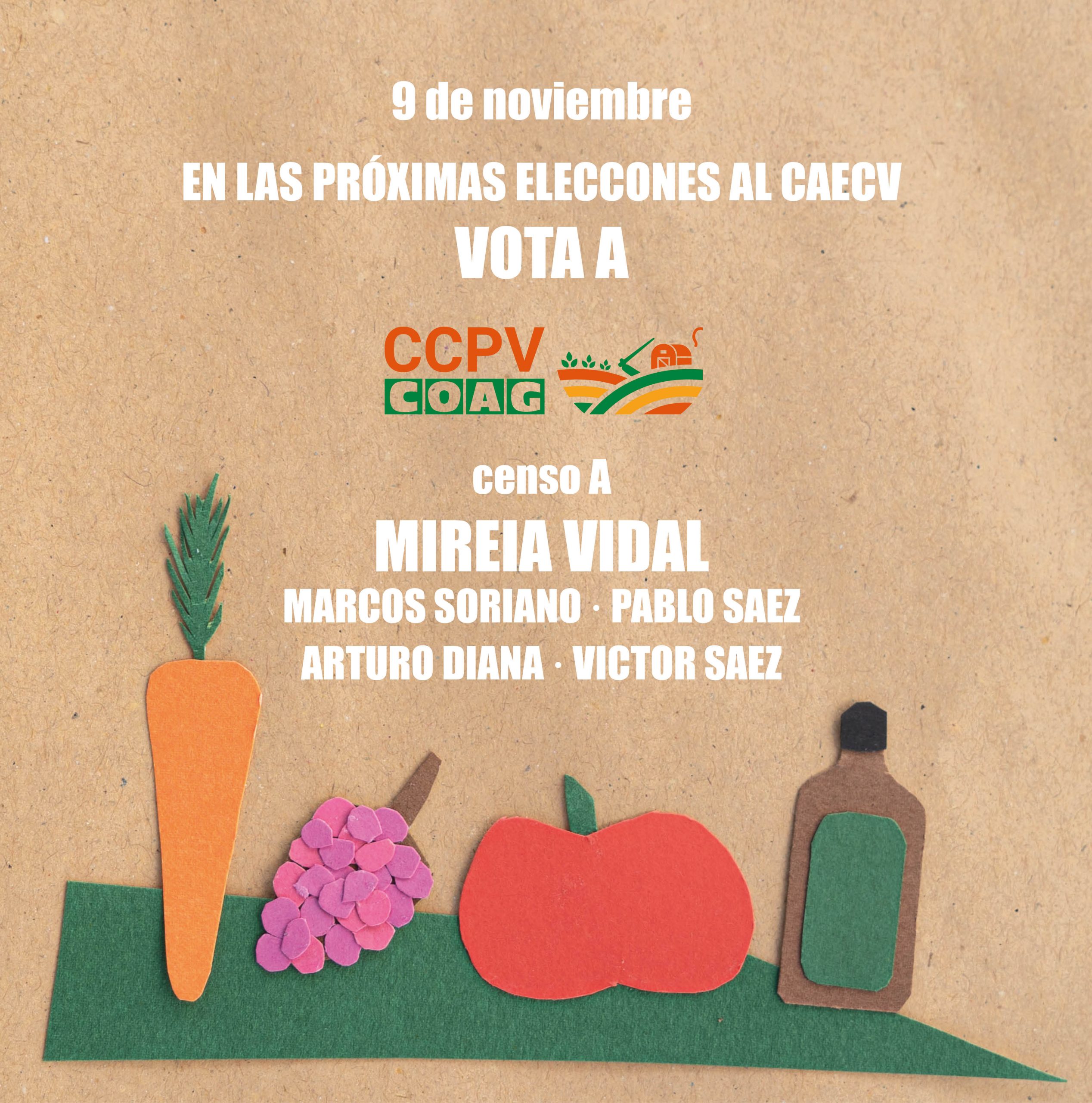 CCPV-COAG es presenta a les eleccions del CAEVC del 9 de novembre