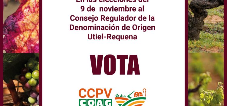 CCPV-COAG se presenta a las elecciones del D.O.  Utiel-Requena del 9 de noviembre