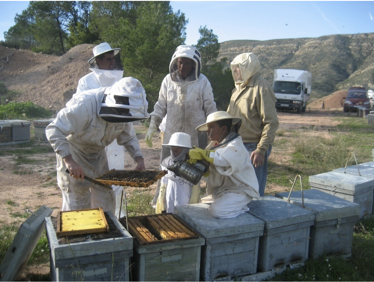 caiguda sector apícola