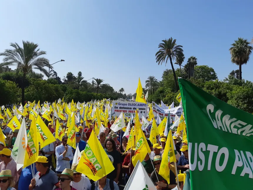 manifestació 5 de setembre