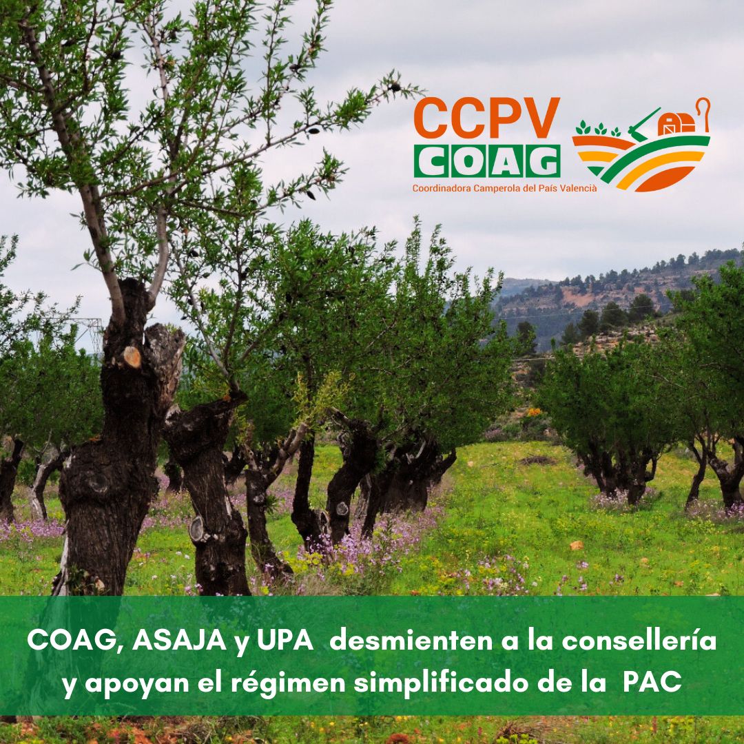 ASAJA, UPA y COAG desmienten a la Conselleria y apoyan el régimen simplificado de la PAC