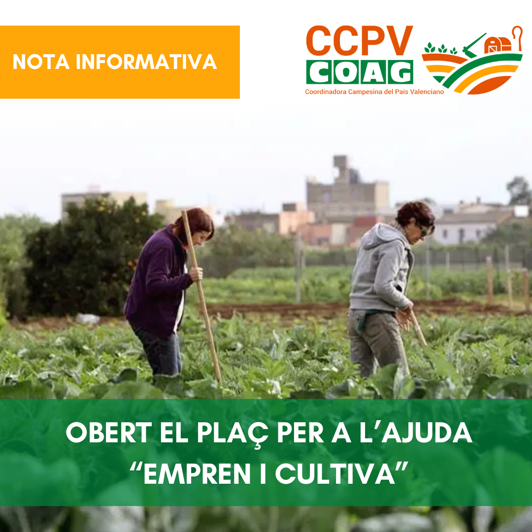S’OBRI EL TERMINI PER A LA SUBVENCIÓ “EMPREN I CULTIVA”