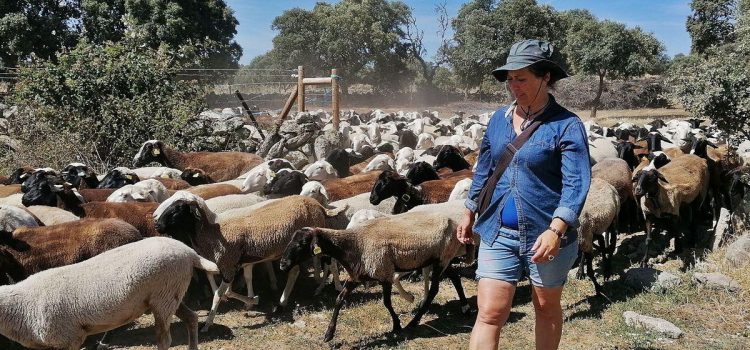 Convocatòria d’ajudes per a explotacions ramaderes en la Comunitat Valenciana
