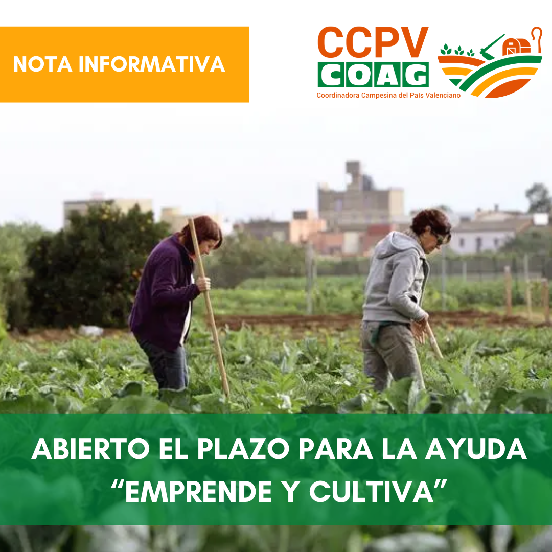 SE ABRE EL PLAZO PARA LA SUBVENCIÓN “EMPRENDE Y CULTIVA”
