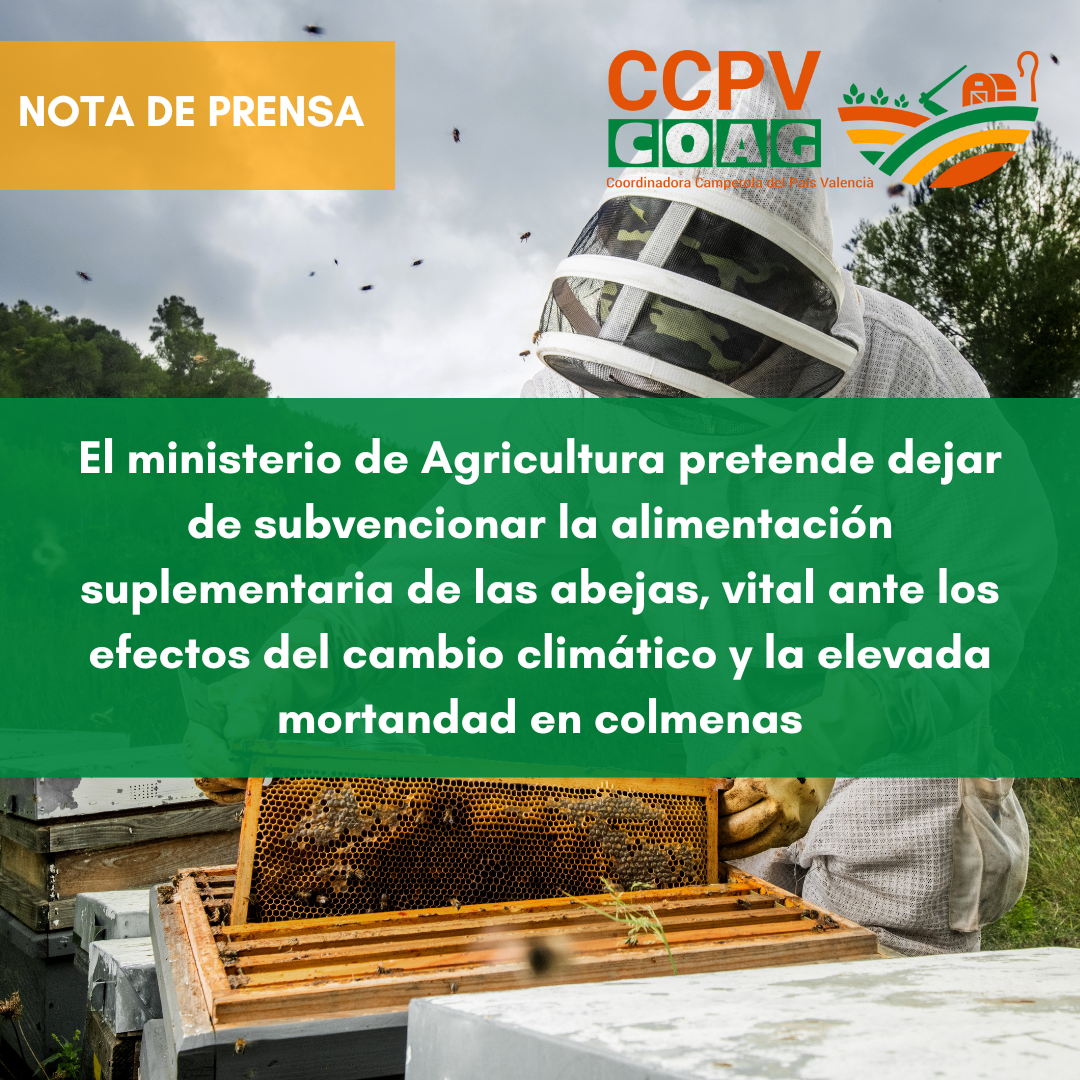 El ministerio de Agricultura pretende dejar de subvencionar la alimentación suplementaria de las abejas, vital ante los efectos del cambio climático y la elevada mortandad en colmenas
