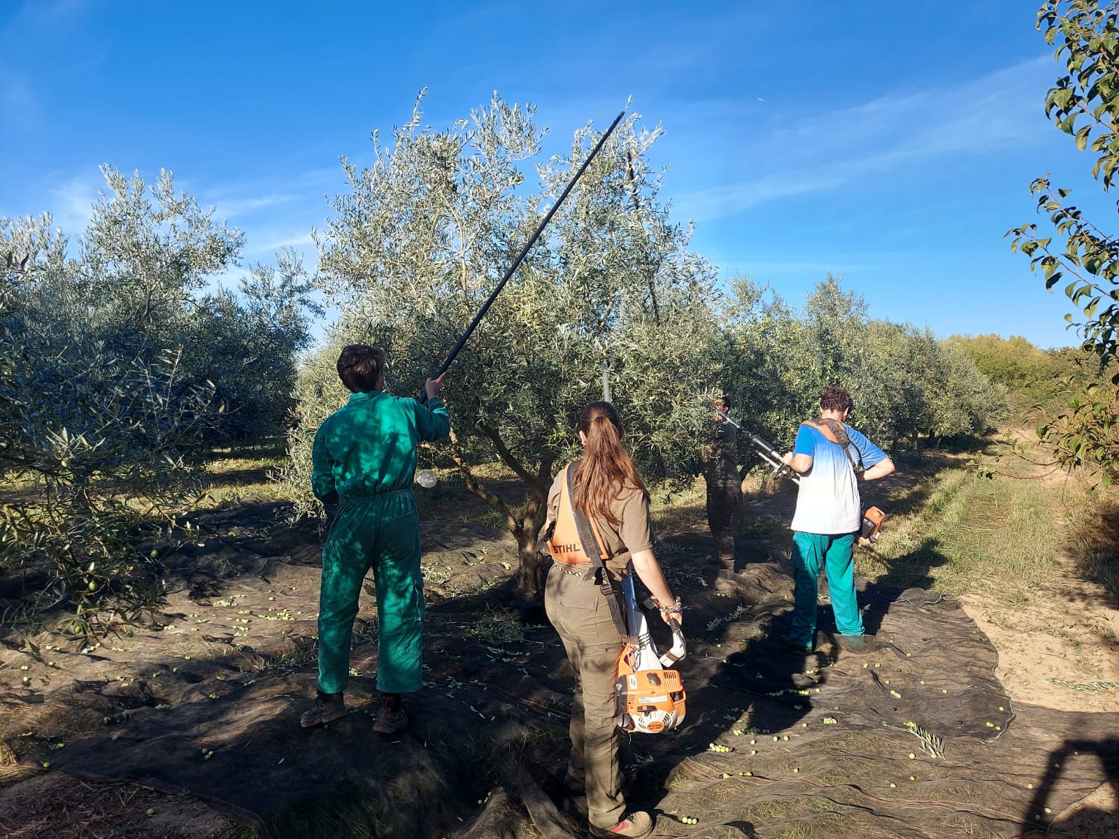 Convocades ajudes per 1,7 mill € per a les explotacions agràries de titularitat compartida