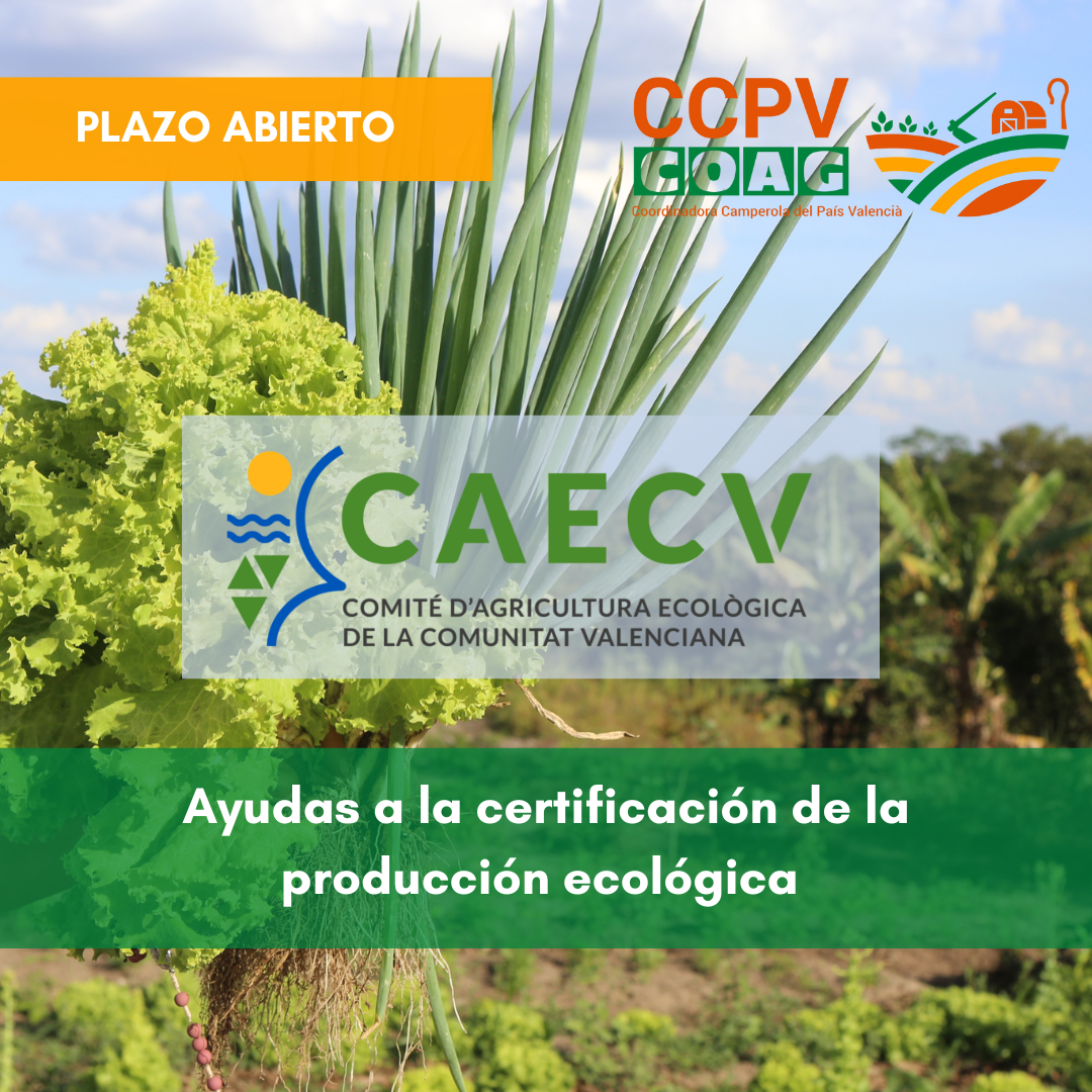 Ayudas a la certificación de la producción ecológica
