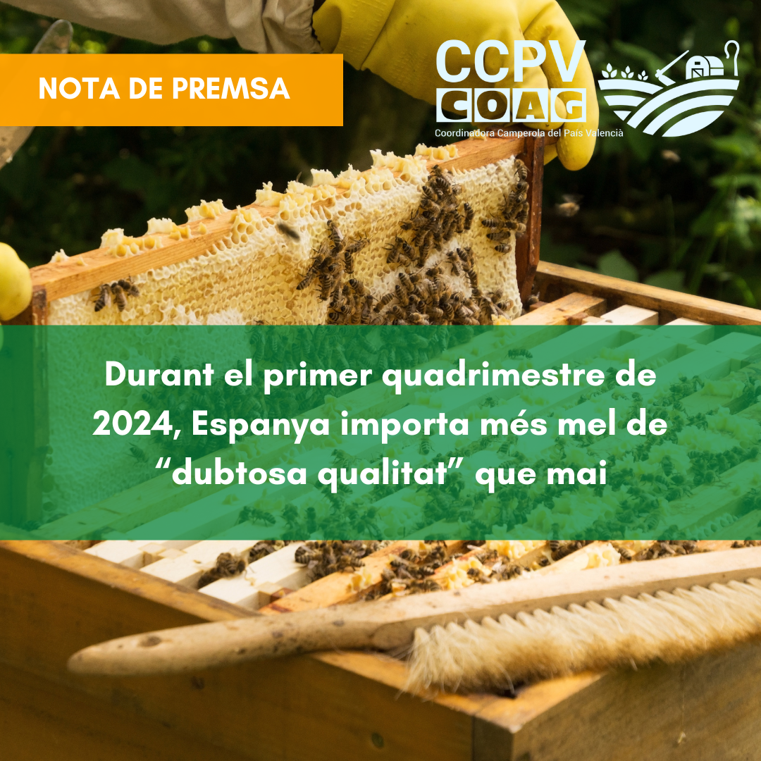 Durant el primer quadrimestre de 2024, Espanya importa més mel de “dubtosa qualitat” que mai
