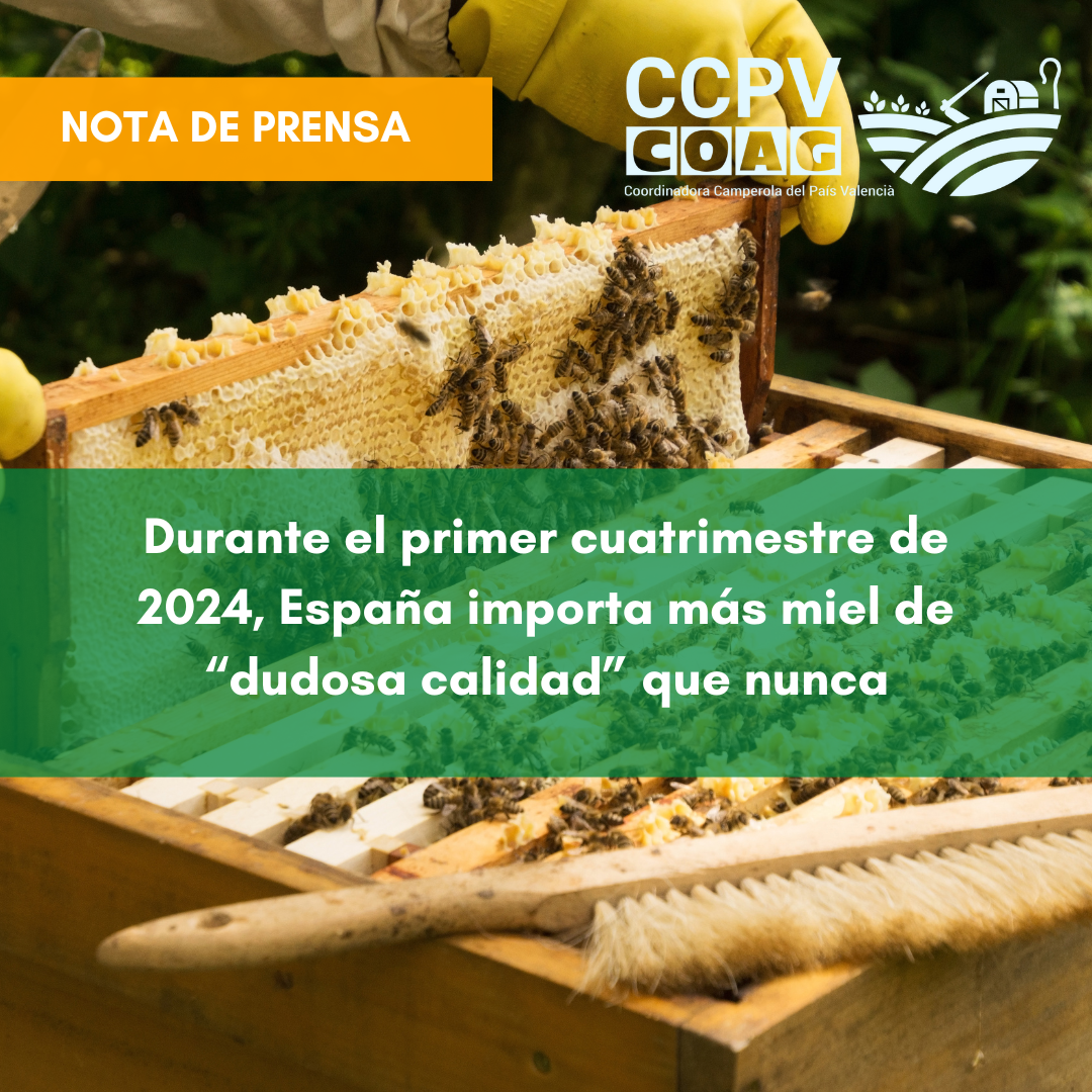 Durante el primer cuatrimestre de 2024, España importa más miel de “dudosa calidad” que nunca
