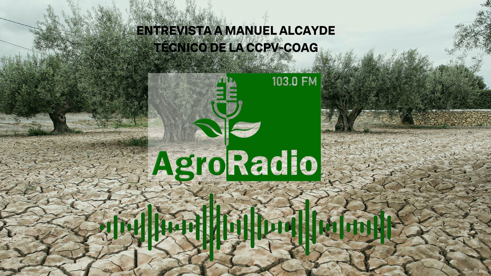 Entrevista a Manuel Alcayde, tècnic de la CCPV-COAG