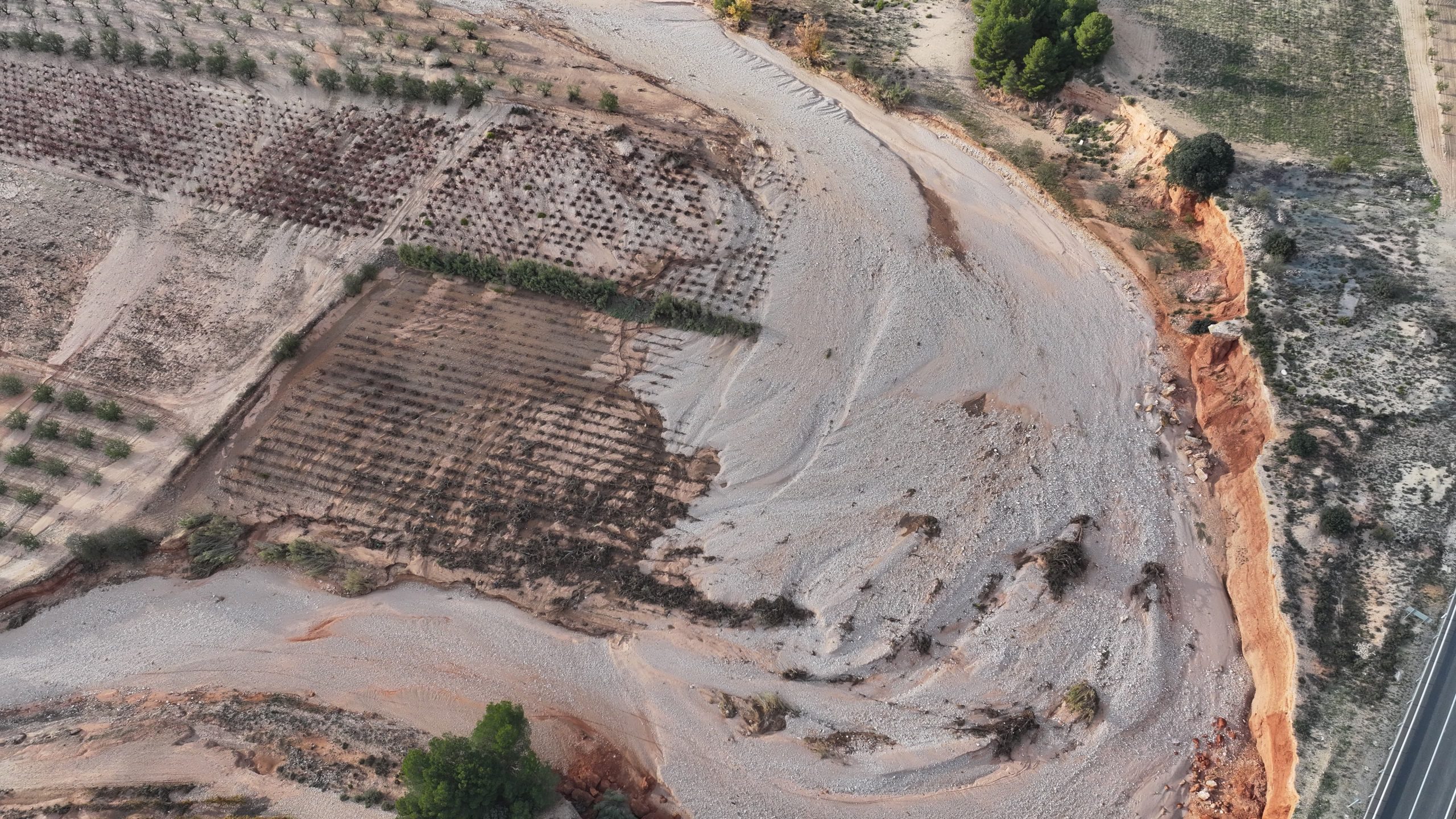 Publicado el segundo listado de personas beneficiarias de las ayudas agrarias de la DANA