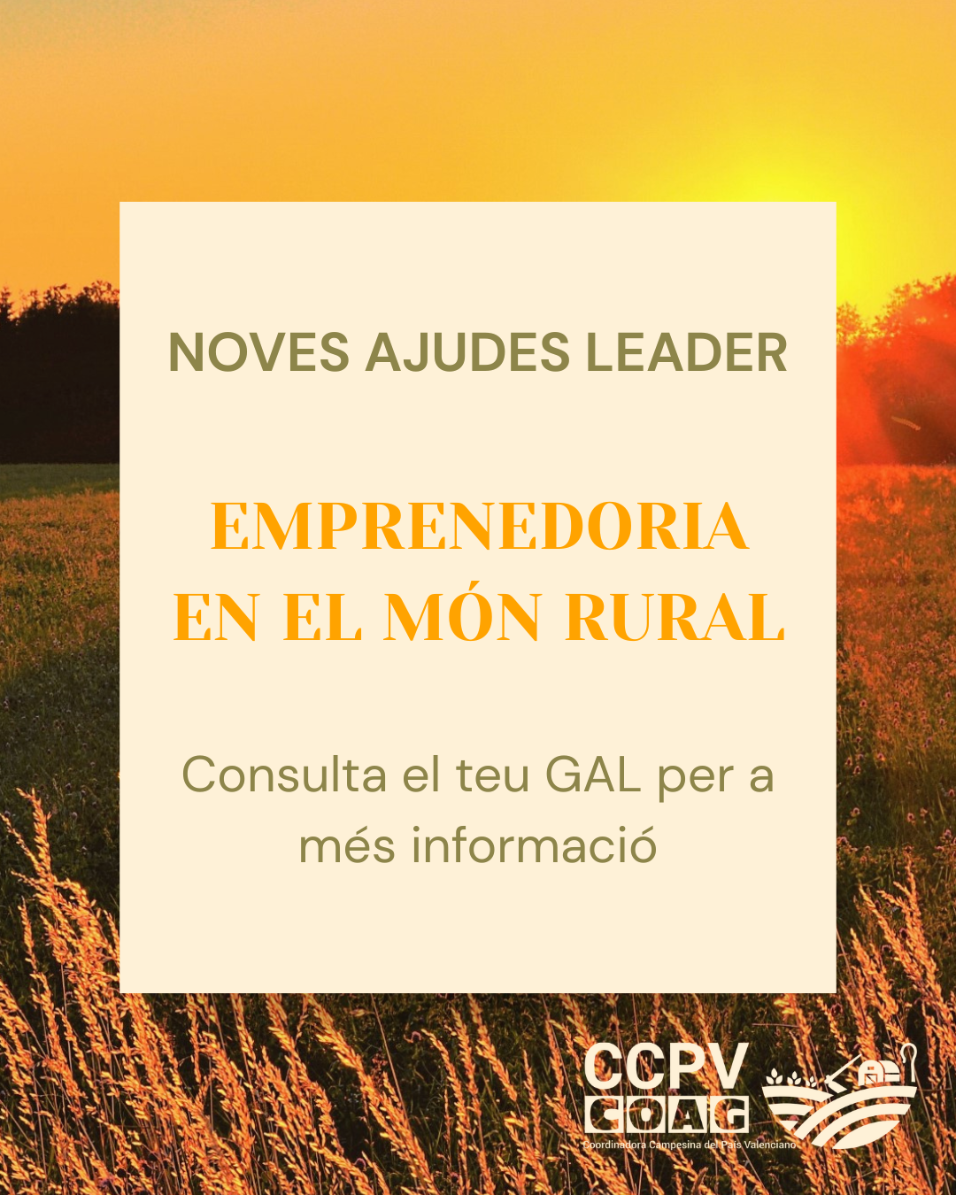 Convocades les ajudes LEADER 2025 per al desenvolupament rural a la Comunitat Valenciana