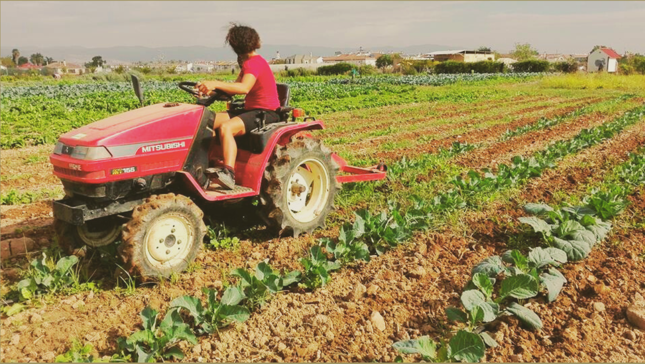 Ayudas para la incorporación de jóvenes y nuevos agricultores: qué hemos conseguido y qué reclamamos desde CCPV-COAG