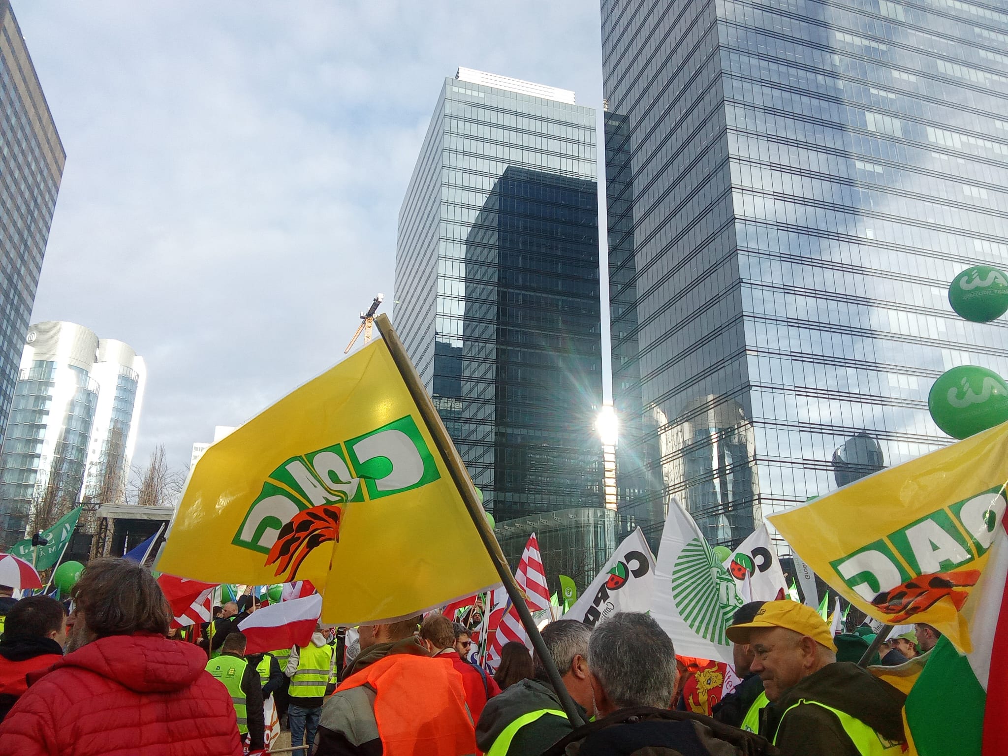 El camp s’organitza i es mobilitza a Brussel·les